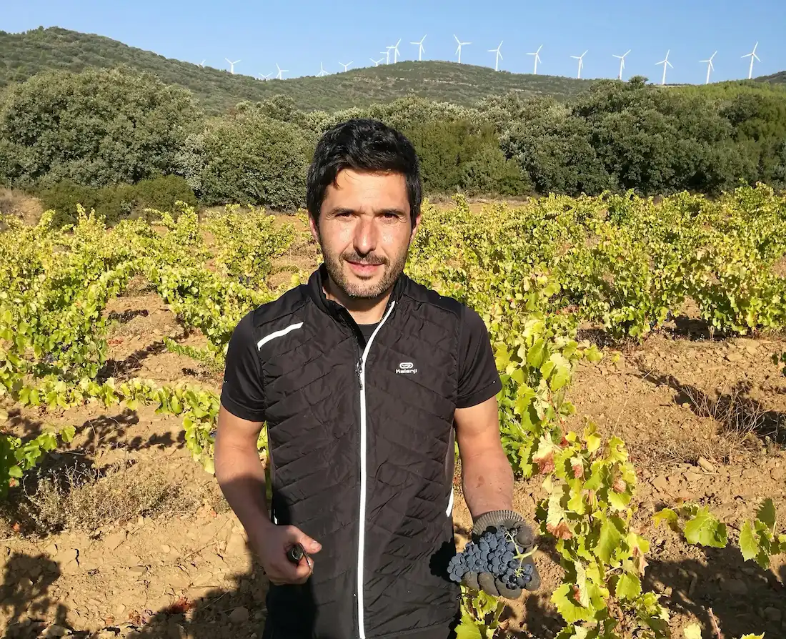 Gonzalo Celayeta vendimiando